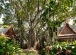 Benefits of Forest Bathing