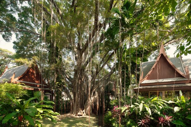 Benefits of Forest Bathing