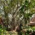 Benefits of Forest Bathing
